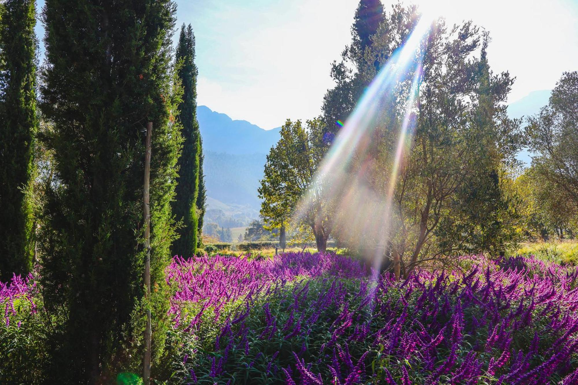 La Villa Franschhoek Eksteriør billede